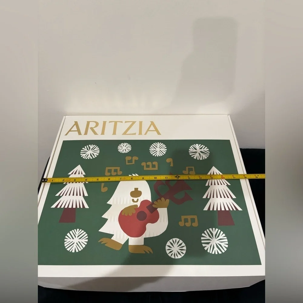 Aritzia charming gift